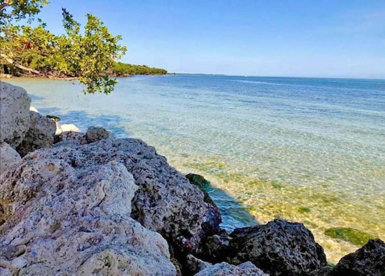 Apartment Sea Mist - Oceanfront-lake-kayak-paddleboard-bike *